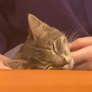 Meet your Posher, Josie